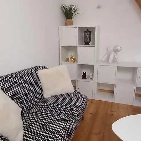 Maisonnette Avec Jardin Hyper Centre Apartment Angers